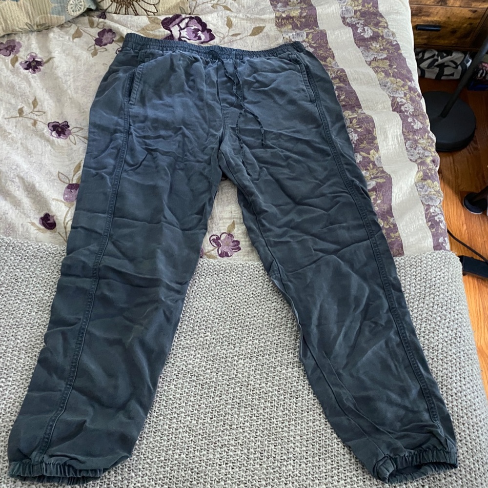 GAP Equinox Blue Jogger Pants(S)